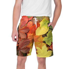 Мужские шорты 3D с принтом Осенние листья в Кировске,  полиэстер 100% | прямой крой, два кармана без застежек по бокам. Мягкая трикотажная резинка на поясе, внутри которой широкие завязки. Длина чуть выше колен | жёлтый | красный | листва | оранжевый | осень