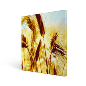 Холст квадратный с принтом Колос в Кировске, 100% ПВХ |  | Тематика изображения на принте: желтый | злаки | поле | пшеница