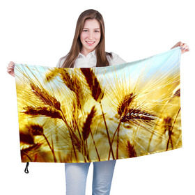 Флаг 3D с принтом Колос в Кировске, 100% полиэстер | плотность ткани — 95 г/м2, размер — 67 х 109 см. Принт наносится с одной стороны | желтый | злаки | поле | пшеница