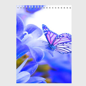 Скетчбук с принтом Бабочки в Кировске, 100% бумага
 | 48 листов, плотность листов — 100 г/м2, плотность картонной обложки — 250 г/м2. Листы скреплены сверху удобной пружинной спиралью | бабочки | красота | природа | синяя | цветы
