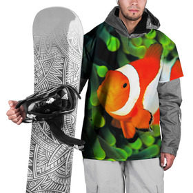 Накидка на куртку 3D с принтом Рыба клоун в Кировске, 100% полиэстер |  | клоун | коралл | немо | океан | цветная