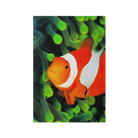 Обложка для паспорта матовая кожа с принтом Рыба клоун в Кировске, натуральная матовая кожа | размер 19,3 х 13,7 см; прозрачные пластиковые крепления | Тематика изображения на принте: клоун | коралл | немо | океан | цветная