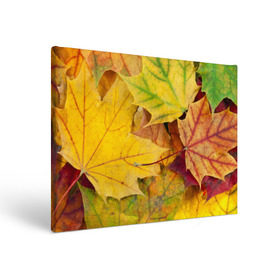 Холст прямоугольный с принтом Осенние листья в Кировске, 100% ПВХ |  | жёлтый | зелёный | клён | листва