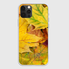 Чехол для iPhone 12 Pro Max с принтом Осенние листья в Кировске, Силикон |  | Тематика изображения на принте: жёлтый | зелёный | клён | листва