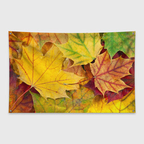 Флаг-баннер с принтом Осенние листья в Кировске, 100% полиэстер | размер 67 х 109 см, плотность ткани — 95 г/м2; по краям флага есть четыре люверса для крепления | жёлтый | зелёный | клён | листва