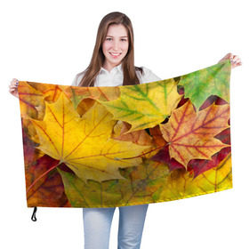 Флаг 3D с принтом Осенние листья в Кировске, 100% полиэстер | плотность ткани — 95 г/м2, размер — 67 х 109 см. Принт наносится с одной стороны | жёлтый | зелёный | клён | листва