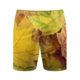 Мужские шорты 3D спортивные с принтом Осенние листья в Кировске,  |  | жёлтый | зелёный | клён | листва
