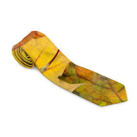Галстук 3D с принтом Осенние листья в Кировске, 100% полиэстер | Длина 148 см; Плотность 150-180 г/м2 | жёлтый | зелёный | клён | листва