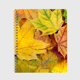 Тетрадь с принтом Осенние листья в Кировске, 100% бумага | 48 листов, плотность листов — 60 г/м2, плотность картонной обложки — 250 г/м2. Листы скреплены сбоку удобной пружинной спиралью. Уголки страниц и обложки скругленные. Цвет линий — светло-серый
 | Тематика изображения на принте: жёлтый | зелёный | клён | листва
