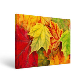 Холст прямоугольный с принтом Кленовые листья в Кировске, 100% ПВХ |  | жёлтый | зелёный | красный | листва | оранжевый | осень