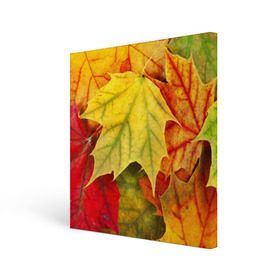 Холст квадратный с принтом Кленовые листья в Кировске, 100% ПВХ |  | жёлтый | зелёный | красный | листва | оранжевый | осень