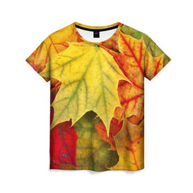 Женская футболка 3D с принтом Кленовые листья в Кировске, 100% полиэфир ( синтетическое хлопкоподобное полотно) | прямой крой, круглый вырез горловины, длина до линии бедер | жёлтый | зелёный | красный | листва | оранжевый | осень