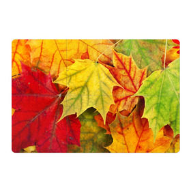 Магнитный плакат 3Х2 с принтом Кленовые листья в Кировске, Полимерный материал с магнитным слоем | 6 деталей размером 9*9 см | жёлтый | зелёный | красный | листва | оранжевый | осень