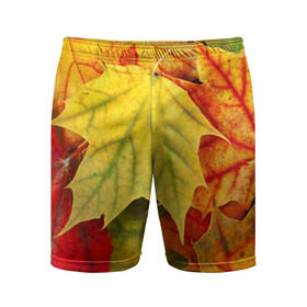 Мужские шорты 3D спортивные с принтом Кленовые листья в Кировске,  |  | жёлтый | зелёный | красный | листва | оранжевый | осень