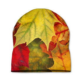 Шапка 3D с принтом Кленовые листья в Кировске, 100% полиэстер | универсальный размер, печать по всей поверхности изделия | Тематика изображения на принте: жёлтый | зелёный | красный | листва | оранжевый | осень