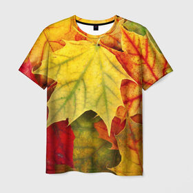 Мужская футболка 3D с принтом Кленовые листья в Кировске, 100% полиэфир | прямой крой, круглый вырез горловины, длина до линии бедер | Тематика изображения на принте: жёлтый | зелёный | красный | листва | оранжевый | осень