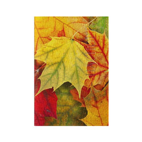 Обложка для паспорта матовая кожа с принтом Кленовые листья в Кировске, натуральная матовая кожа | размер 19,3 х 13,7 см; прозрачные пластиковые крепления | Тематика изображения на принте: жёлтый | зелёный | красный | листва | оранжевый | осень