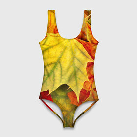 Купальник-боди 3D с принтом Кленовые листья в Кировске, 82% полиэстер, 18% эластан | Круглая горловина, круглый вырез на спине | жёлтый | зелёный | красный | листва | оранжевый | осень