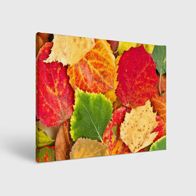 Холст прямоугольный с принтом Осень в Кировске, 100% ПВХ |  | берёза | дары осени | жёлтый | зелёный | золотой | краски | красный | красота | листва | листья | наряд | оранжевый | осень | осина | покров | природа