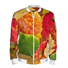 Мужской бомбер 3D с принтом Осень в Кировске, 100% полиэстер | застегивается на молнию, по бокам два кармана без застежек, по низу бомбера и на воротнике - эластичная резинка | берёза | дары осени | жёлтый | зелёный | золотой | краски | красный | красота | листва | листья | наряд | оранжевый | осень | осина | покров | природа