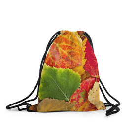 Рюкзак-мешок 3D с принтом Осень в Кировске, 100% полиэстер | плотность ткани — 200 г/м2, размер — 35 х 45 см; лямки — толстые шнурки, застежка на шнуровке, без карманов и подкладки | берёза | дары осени | жёлтый | зелёный | золотой | краски | красный | красота | листва | листья | наряд | оранжевый | осень | осина | покров | природа