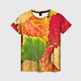 Женская футболка 3D с принтом Осень в Кировске, 100% полиэфир ( синтетическое хлопкоподобное полотно) | прямой крой, круглый вырез горловины, длина до линии бедер | берёза | дары осени | жёлтый | зелёный | золотой | краски | красный | красота | листва | листья | наряд | оранжевый | осень | осина | покров | природа