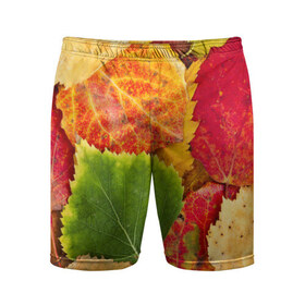Мужские шорты 3D спортивные с принтом Осень в Кировске,  |  | берёза | дары осени | жёлтый | зелёный | золотой | краски | красный | красота | листва | листья | наряд | оранжевый | осень | осина | покров | природа
