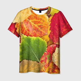 Мужская футболка 3D с принтом Осень в Кировске, 100% полиэфир | прямой крой, круглый вырез горловины, длина до линии бедер | берёза | дары осени | жёлтый | зелёный | золотой | краски | красный | красота | листва | листья | наряд | оранжевый | осень | осина | покров | природа