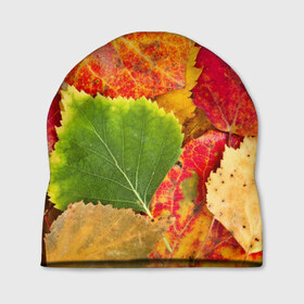 Шапка 3D с принтом Осень в Кировске, 100% полиэстер | универсальный размер, печать по всей поверхности изделия | берёза | дары осени | жёлтый | зелёный | золотой | краски | красный | красота | листва | листья | наряд | оранжевый | осень | осина | покров | природа