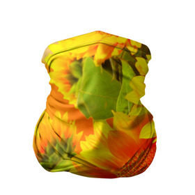 Бандана-труба 3D с принтом Подсолнух в Кировске, 100% полиэстер, ткань с особыми свойствами — Activecool | плотность 150‒180 г/м2; хорошо тянется, но сохраняет форму | желтая | подсолнух | поле | природа | цветы