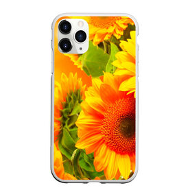 Чехол для iPhone 11 Pro матовый с принтом Подсолнух в Кировске, Силикон |  | желтая | подсолнух | поле | природа | цветы