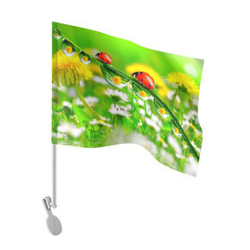 Флаг для автомобиля с принтом Макро в Кировске, 100% полиэстер | Размер: 30*21 см | божья коровка | насекомые | одуванчик | природа | цветы