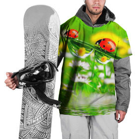 Накидка на куртку 3D с принтом Макро в Кировске, 100% полиэстер |  | Тематика изображения на принте: божья коровка | насекомые | одуванчик | природа | цветы
