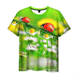 Мужская футболка 3D с принтом Макро в Кировске, 100% полиэфир | прямой крой, круглый вырез горловины, длина до линии бедер | Тематика изображения на принте: божья коровка | насекомые | одуванчик | природа | цветы