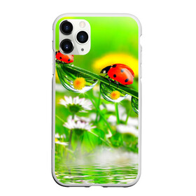Чехол для iPhone 11 Pro матовый с принтом Макро в Кировске, Силикон |  | божья коровка | насекомые | одуванчик | природа | цветы