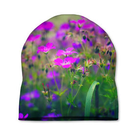 Шапка 3D с принтом Цветы в Кировске, 100% полиэстер | универсальный размер, печать по всей поверхности изделия | красота | лето | поле | цветок