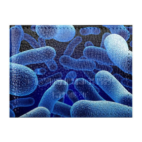 Обложка для студенческого билета с принтом Молекула в Кировске, натуральная кожа | Размер: 11*8 см; Печать на всей внешней стороне | медицина | микроб | молекула | синяя