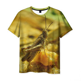 Мужская футболка 3D с принтом Кузнечик в Кировске, 100% полиэфир | прямой крой, круглый вырез горловины, длина до линии бедер | кузнечик | насекомые