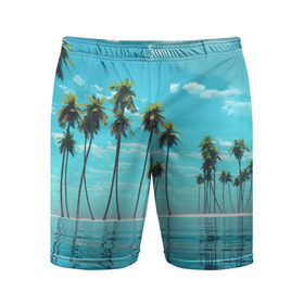 Мужские шорты 3D спортивные с принтом Фиджи в Кировске,  |  | архипелаг | загар | каникулы | королевство | море | остров | отдых | отпуск | пальмы | песок | рай | солнце | тихий океан | туризм | фиджи
