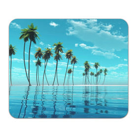 Коврик прямоугольный с принтом Фиджи в Кировске, натуральный каучук | размер 230 х 185 мм; запечатка лицевой стороны | архипелаг | загар | каникулы | королевство | море | остров | отдых | отпуск | пальмы | песок | рай | солнце | тихий океан | туризм | фиджи