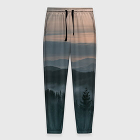 Мужские брюки 3D с принтом Туман в горах в Кировске, 100% полиэстер | манжеты по низу, эластичный пояс регулируется шнурком, по бокам два кармана без застежек, внутренняя часть кармана из мелкой сетки | ветки | деревья | лес | туман