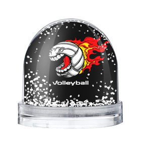 Водяной шар с принтом Волейбол 26 в Кировске, Пластик | Изображение внутри шара печатается на глянцевой фотобумаге с двух сторон | volleyball | волейбол
