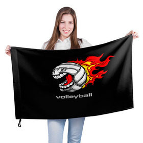 Флаг 3D с принтом Волейбол 26 в Кировске, 100% полиэстер | плотность ткани — 95 г/м2, размер — 67 х 109 см. Принт наносится с одной стороны | volleyball | волейбол