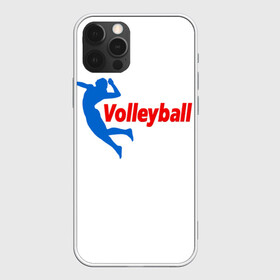 Чехол для iPhone 12 Pro с принтом Волейбол 31 в Кировске, силикон | область печати: задняя сторона чехла, без боковых панелей | Тематика изображения на принте: volleyball | волейбол