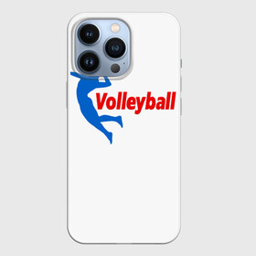 Чехол для iPhone 13 Pro с принтом Волейбол 31 в Кировске,  |  | volleyball | волейбол