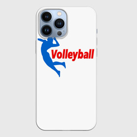 Чехол для iPhone 13 Pro Max с принтом Волейбол 31 в Кировске,  |  | Тематика изображения на принте: volleyball | волейбол