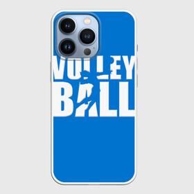 Чехол для iPhone 13 Pro с принтом Волейбол 77 в Кировске,  |  | volleyball | волейбол