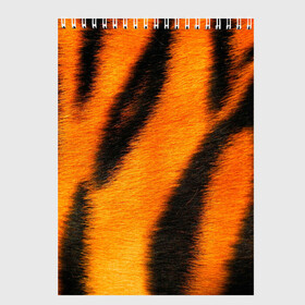 Скетчбук с принтом Шкура тигра в Кировске, 100% бумага
 | 48 листов, плотность листов — 100 г/м2, плотность картонной обложки — 250 г/м2. Листы скреплены сверху удобной пружинной спиралью | кошка | полосатая | текстуры | тигр