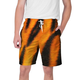Мужские шорты 3D с принтом Шкура тигра в Кировске,  полиэстер 100% | прямой крой, два кармана без застежек по бокам. Мягкая трикотажная резинка на поясе, внутри которой широкие завязки. Длина чуть выше колен | кошка | полосатая | текстуры | тигр