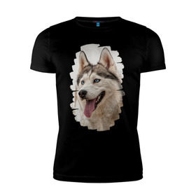 Мужская футболка премиум с принтом Симпотяга волк в Кировске, 92% хлопок, 8% лайкра | приталенный силуэт, круглый вырез ворота, длина до линии бедра, короткий рукав | зверь | серый | хаски | хаски бандит